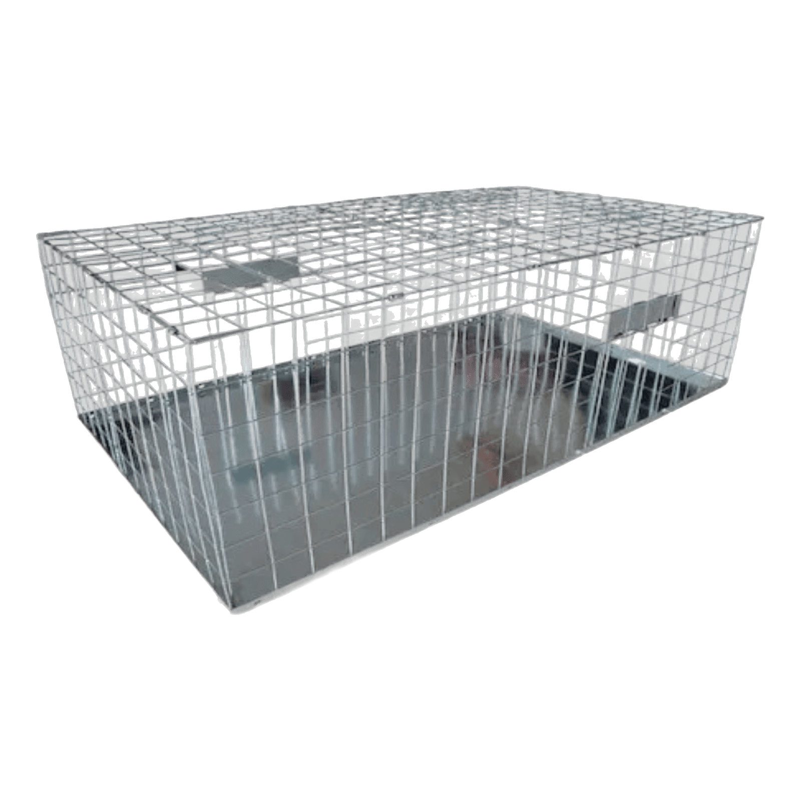 Armadilha para Pombos Rectangular