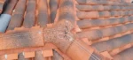 cerca electrica para afastar gaivotas de telhado