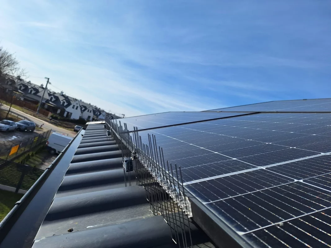 Proteção anti pombos instalada em painéis solares