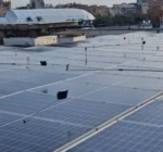 Sistema ProSolarBirds aplicado em painéis fotovoltaicos para proteção contra aves.