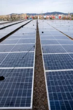Processo de instalação do sistema ProSolarBirds em painéis solares.