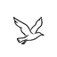 Gaivota